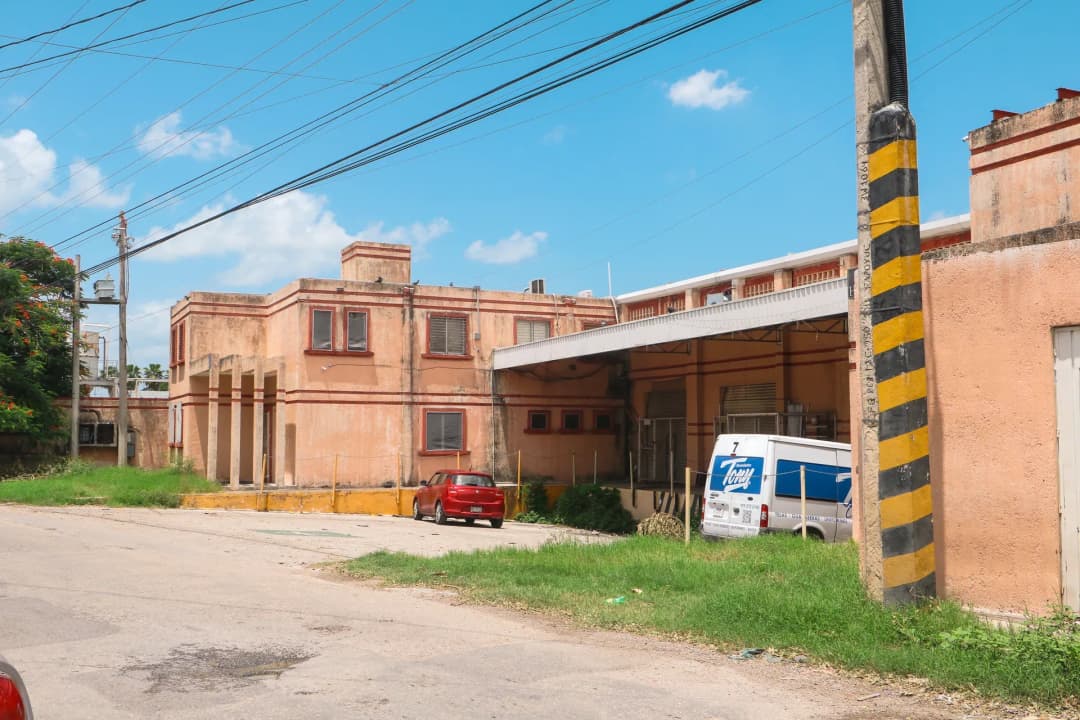 Fotografía 5